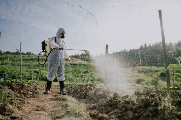 Best Commercial Pest Control Services  in Cedartown, GA