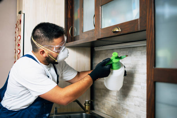 Best Pest Removal Services  in Cedartown, GA