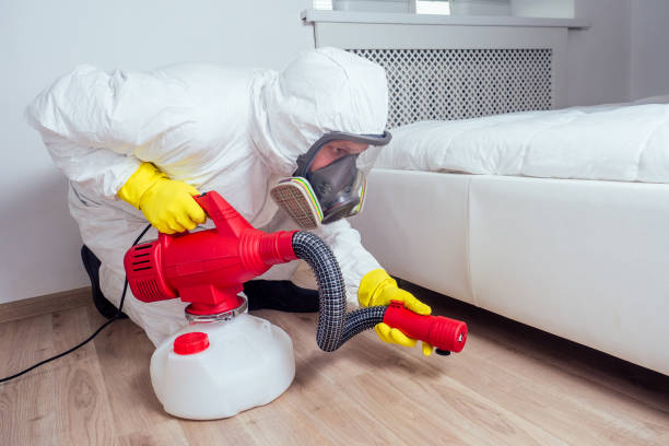 Trusted Cedartown, GA Pest Control Experts