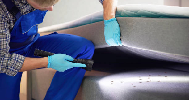 Best Pest Inspection Near Me  in Cedartown, GA